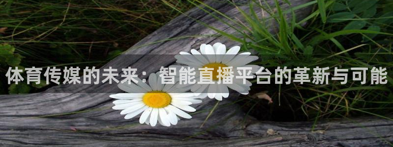蓝鲸nba直播
