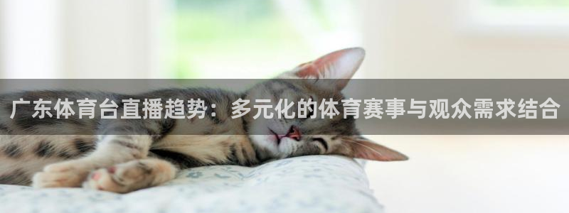 蓝鲸体育在线足球直播：广东体育台直播趋势：多元化的体育赛事与观众需求结合