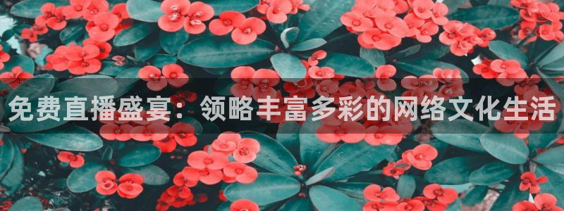 蓝鲸lanjing同直播：免费直播盛宴：领略丰富多彩的网络文化生活