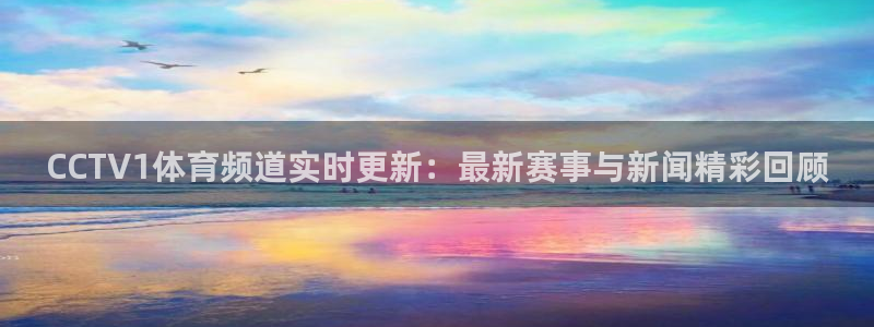 蓝鲸体育免费直播：CCTV1体育频道实时更新：最新赛事与新闻精彩回顾