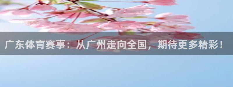 蓝鲸直播app下载：广东体育赛事：从广州走向全国，期待更多精彩！