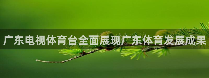 蓝鲸直播 安卓：广东电视体育台全面展现广东体育发展成果