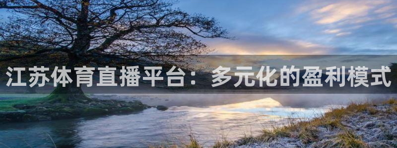 蓝鲸的视频：江苏体育直播平台：多元化的盈利模式