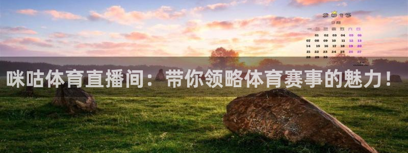 蓝鲸体育足球直播下载：咪咕体育直播间：带你领略体育赛事的魅力！