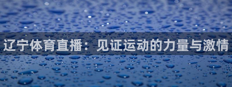 蓝鲸鱼体育直播：辽宁体育直播：见证运动的力量与激情